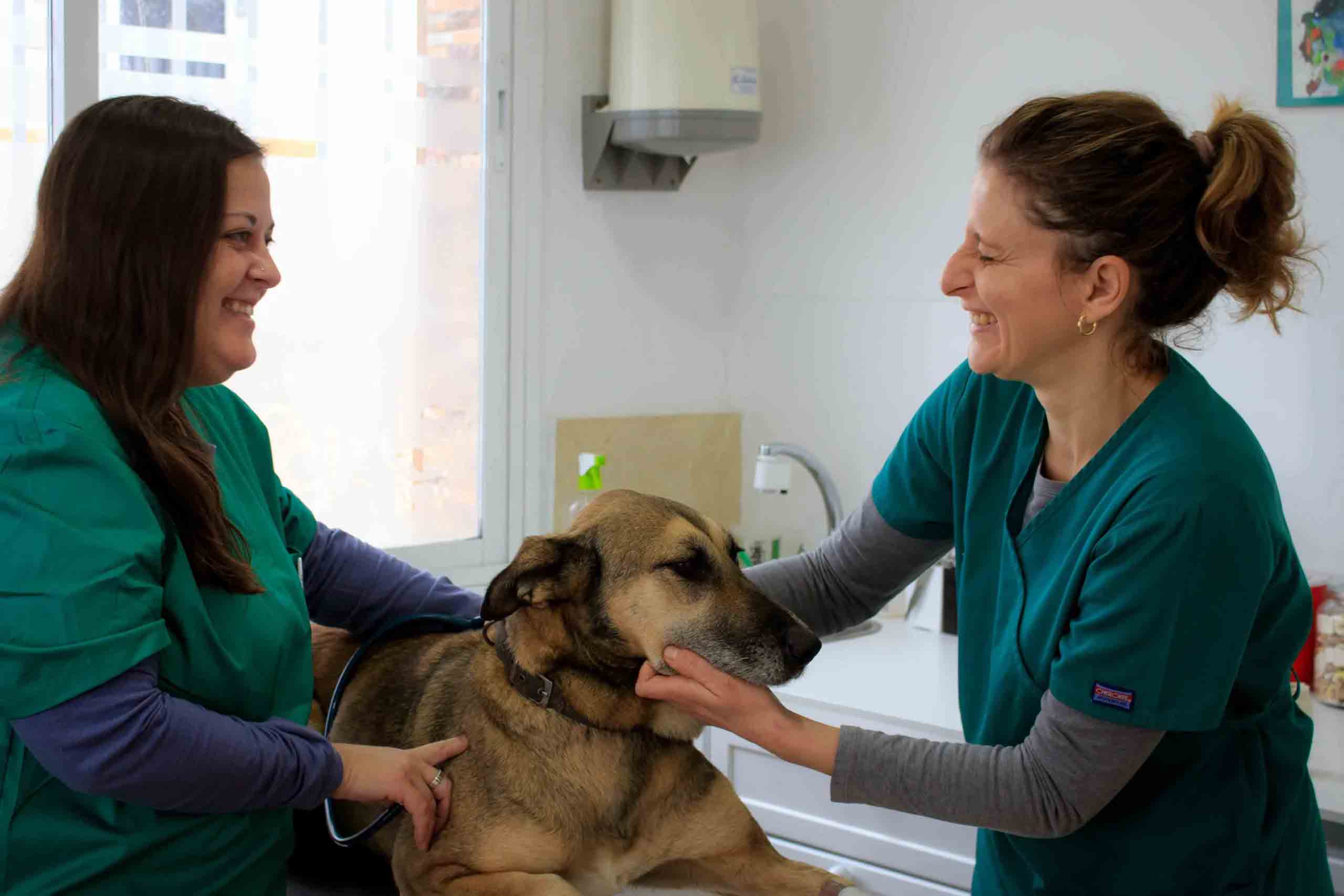 Clínica veterinaria VITAE Algodonales Cádiz